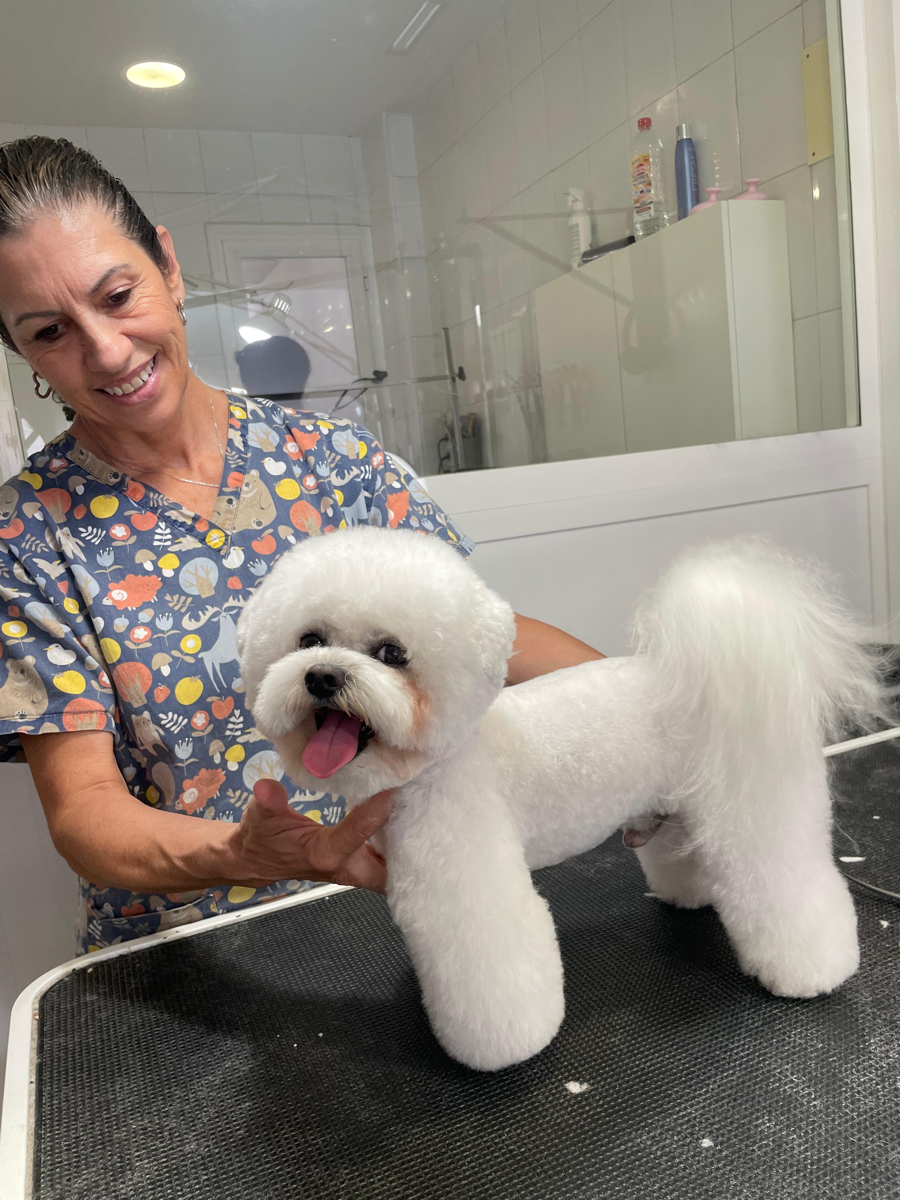 Trabajo de peluquería canina